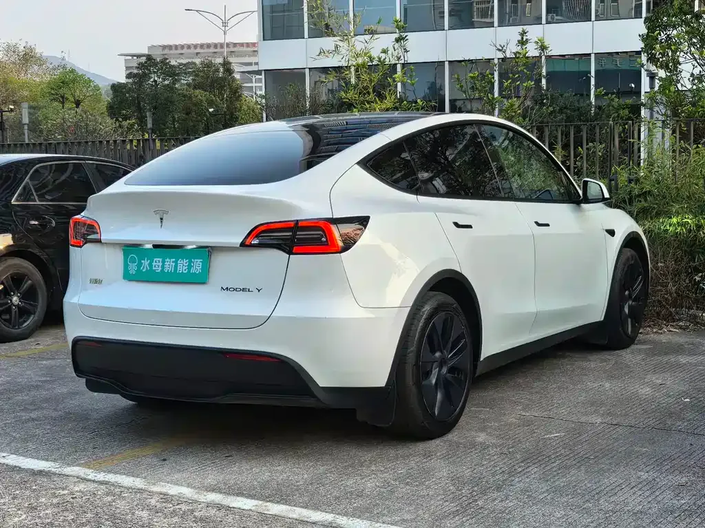 Tesla Model Y — фото 9