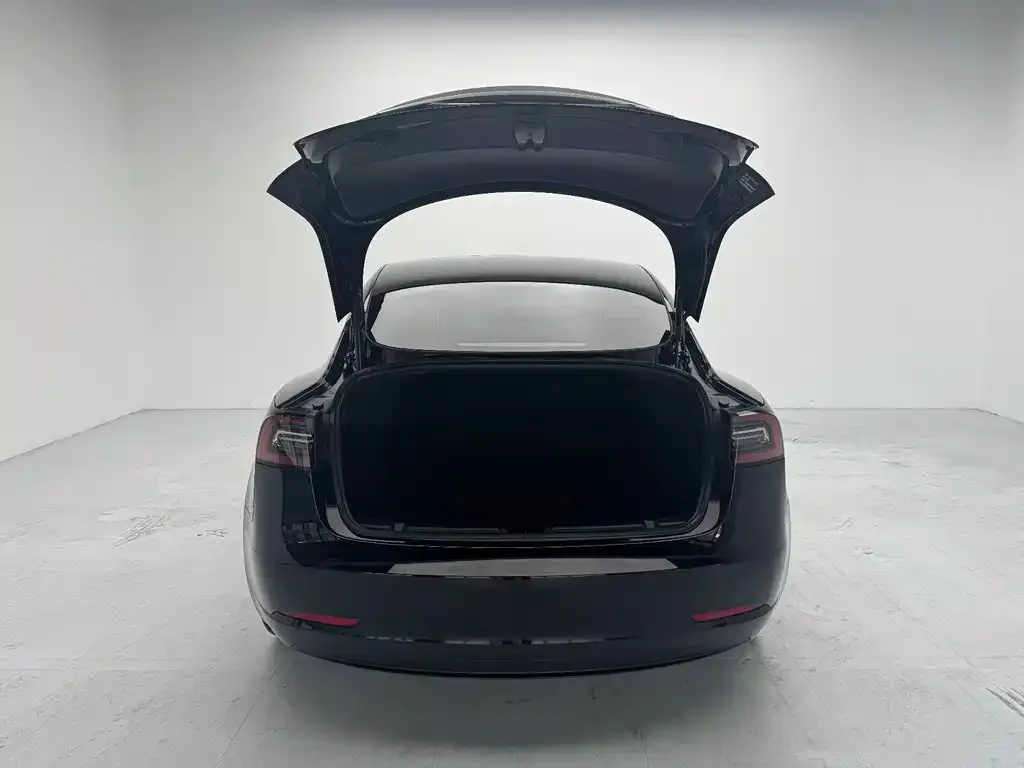Tesla Model 3 — фото 2