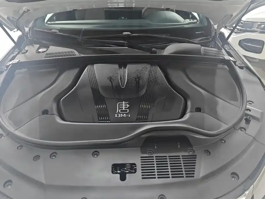 BYD Tang New Energy 2025 из CN, фото 3