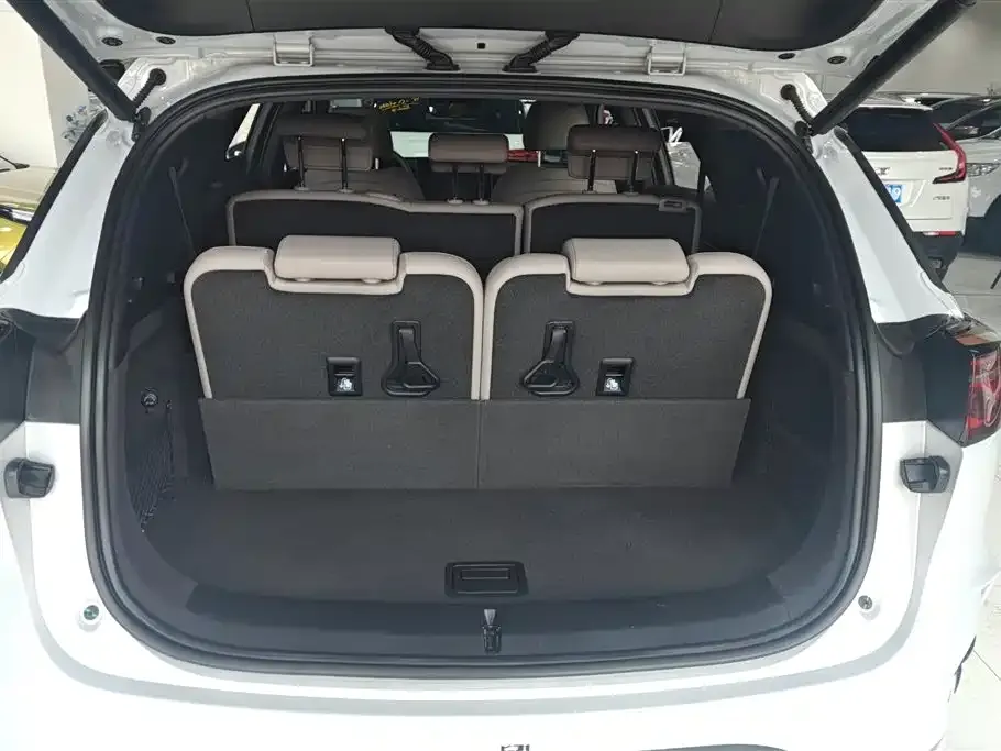 BYD Tang New Energy 2025 из CN, фото 8