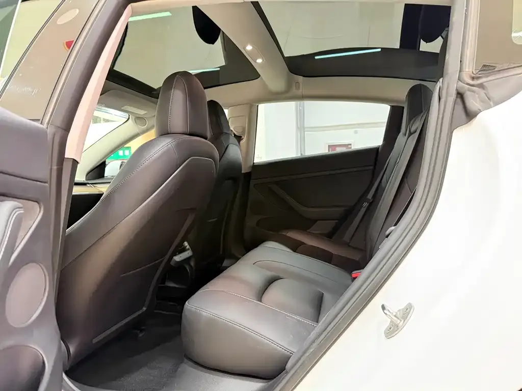 Tesla Model 3 2022 из CN, фото 3