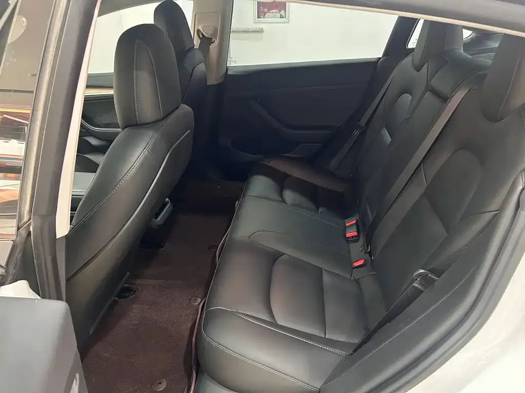 Tesla Model 3 2022 из CN, фото 6