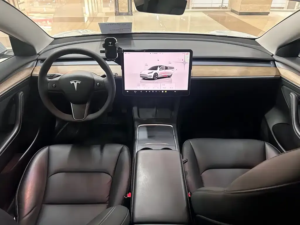 Tesla Model 3 2022 из CN, фото 7