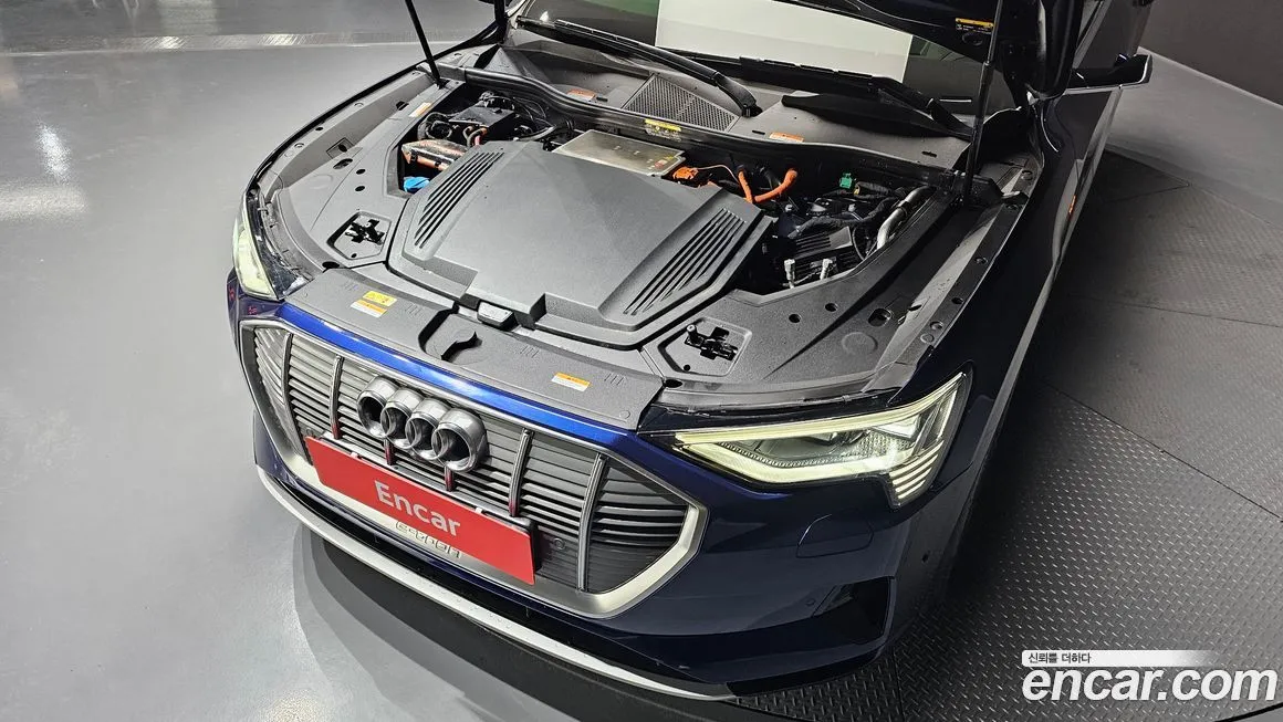 Audi e-tron 2022 из KR, фото 8