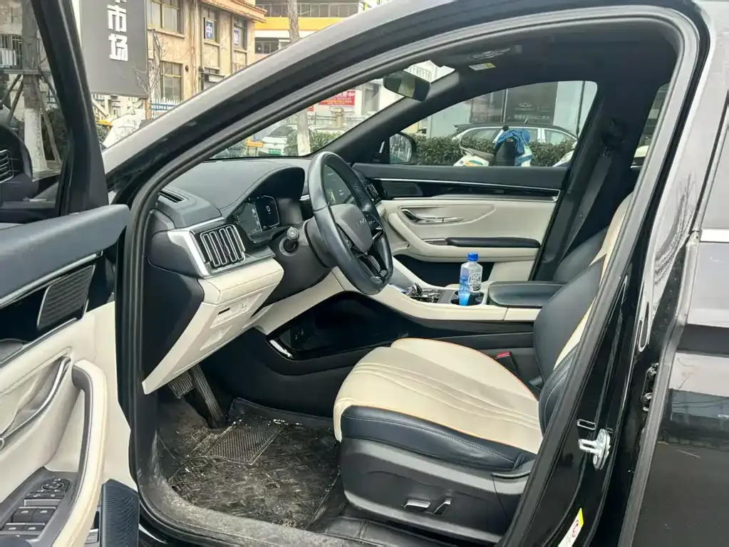 BYD PLUS New Energy — фото 3