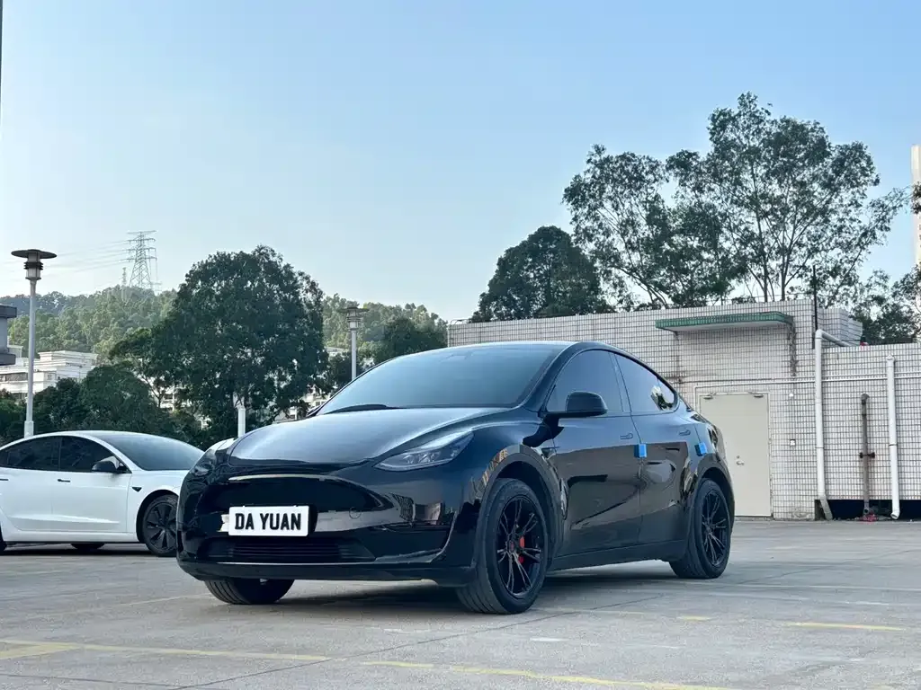 Tesla Model Y 2024 из CN, фото 1