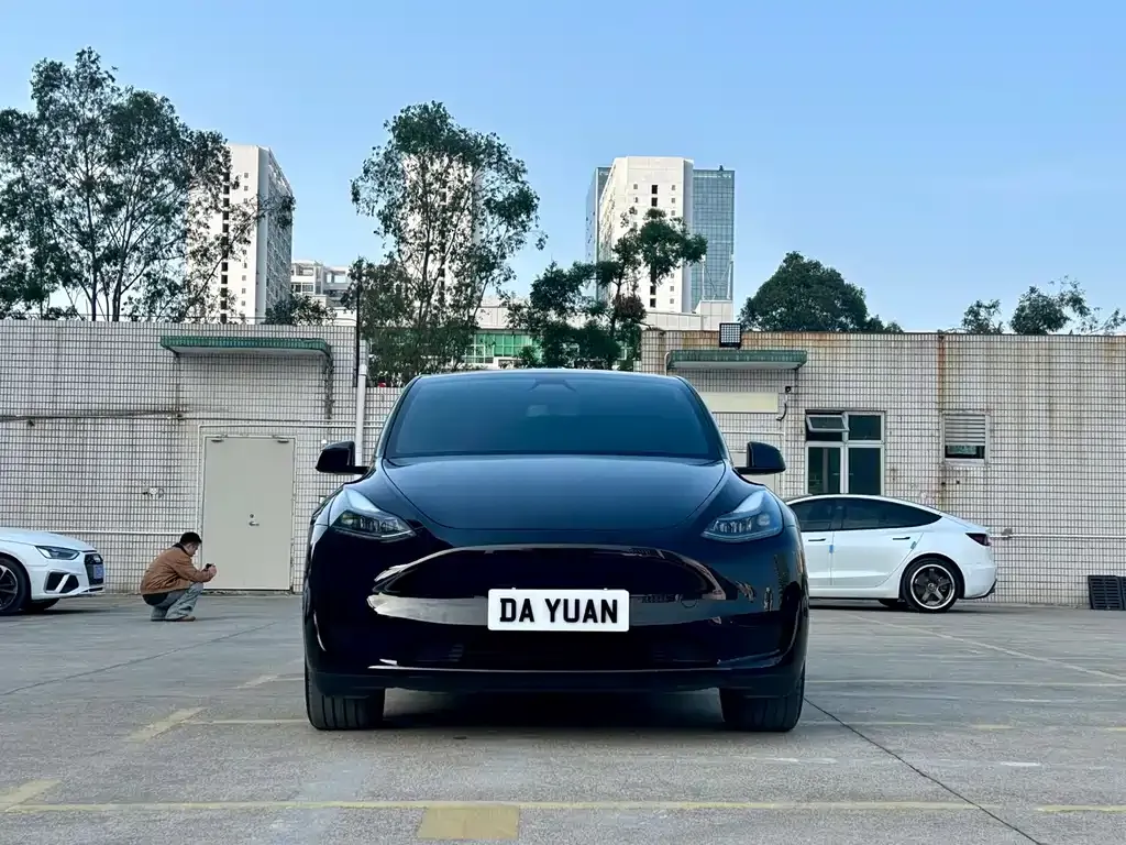 Tesla Model Y 2024 из CN, фото 8