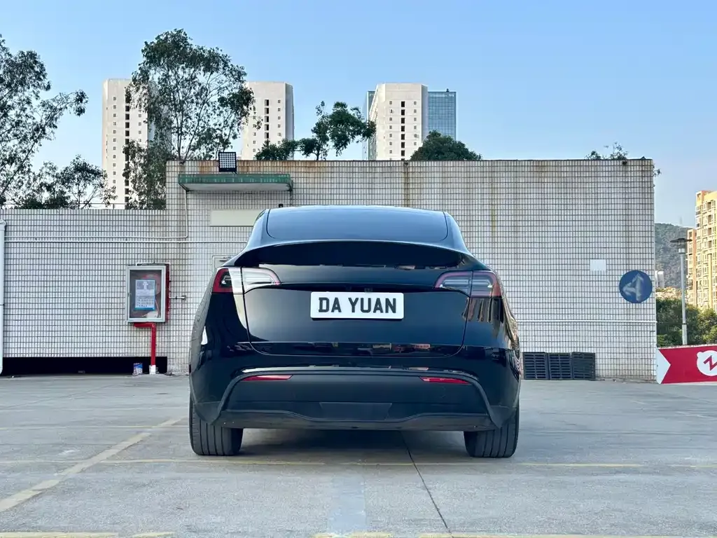 Tesla Model Y 2024 из CN, фото 2