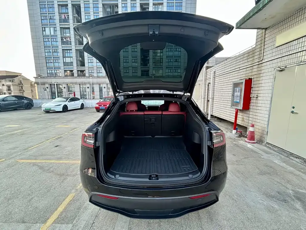 Tesla Model Y 2024 из CN, фото 5