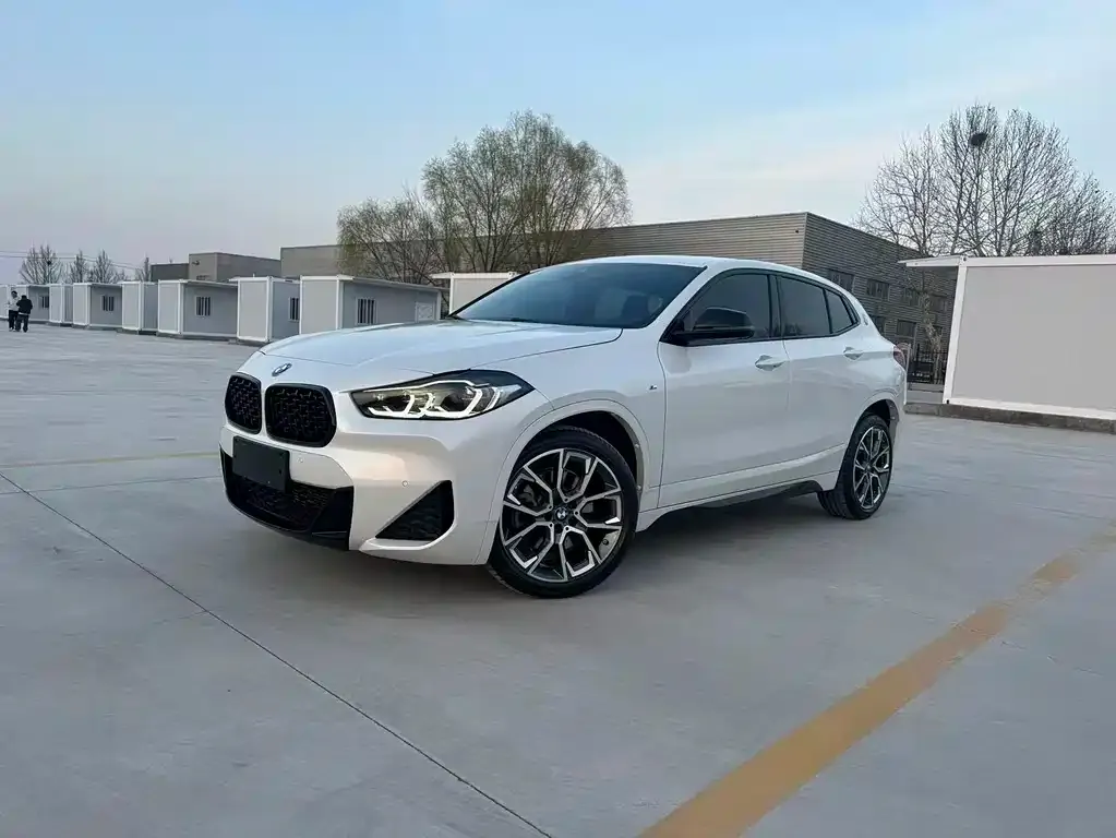 BMW X2 2021 из CN, фото 1