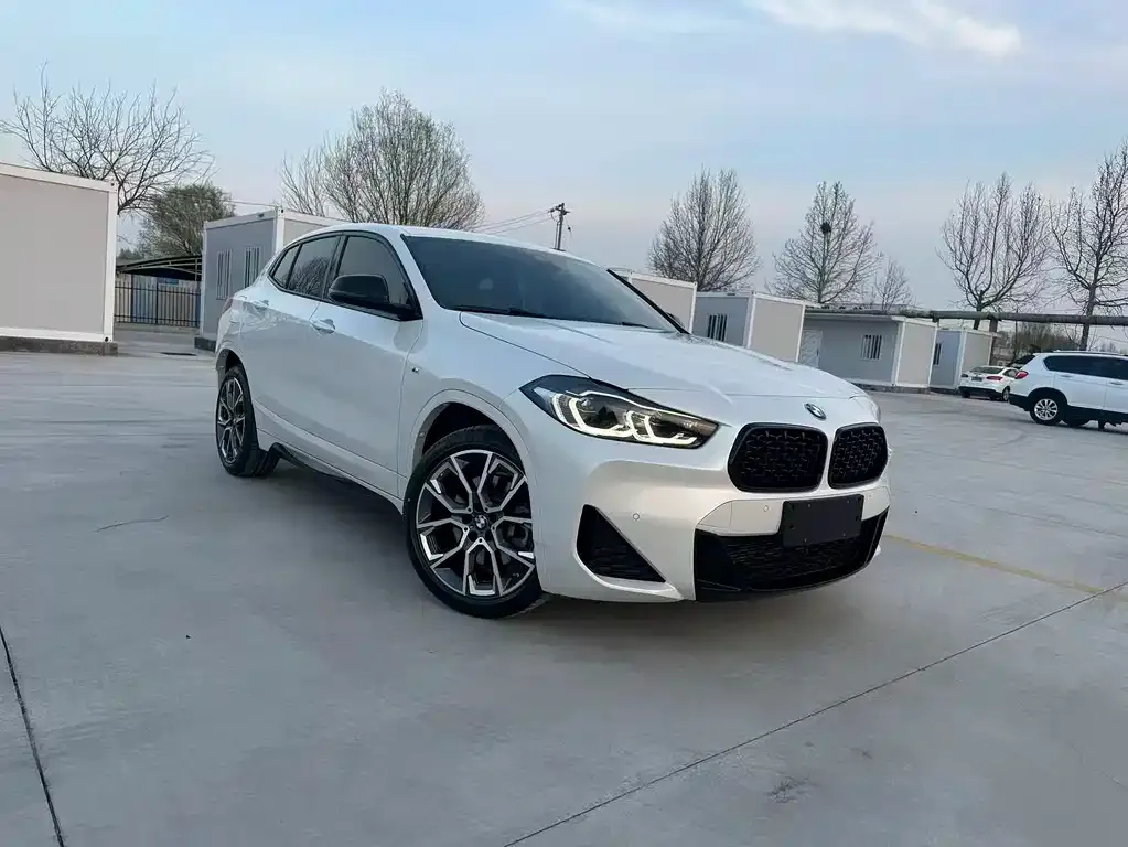 BMW X2 2021 из CN, фото 4