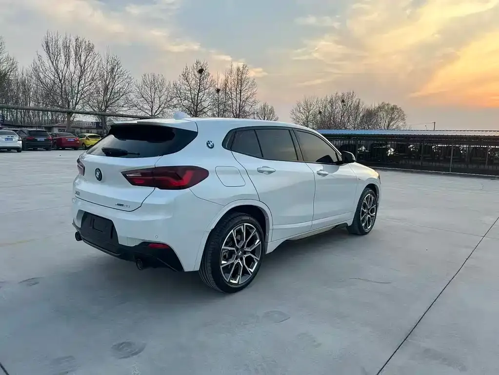 BMW X2 2021 из CN, фото 3