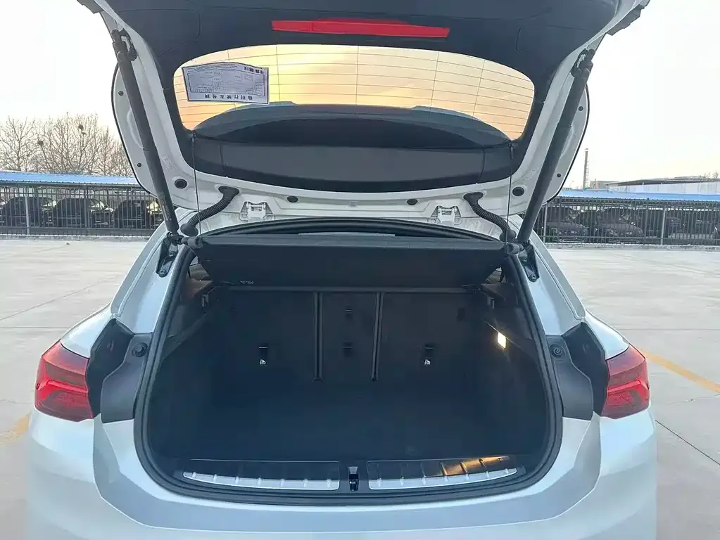 BMW X2 2021 из CN, фото 8