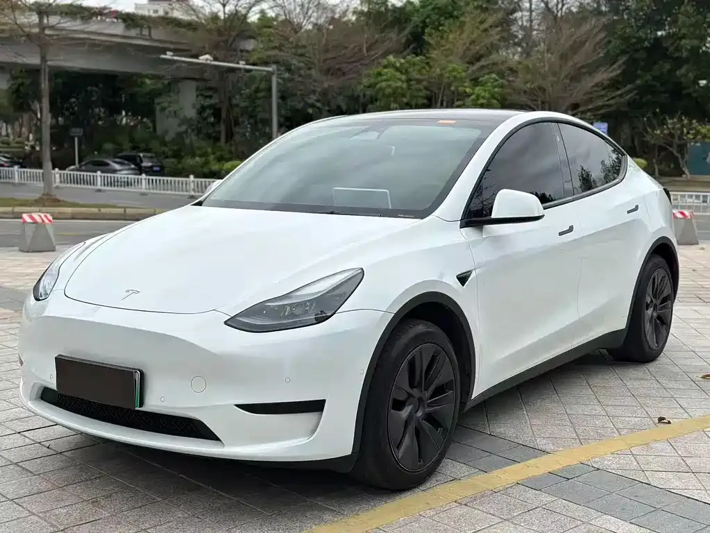 Tesla Model Y — фото 1