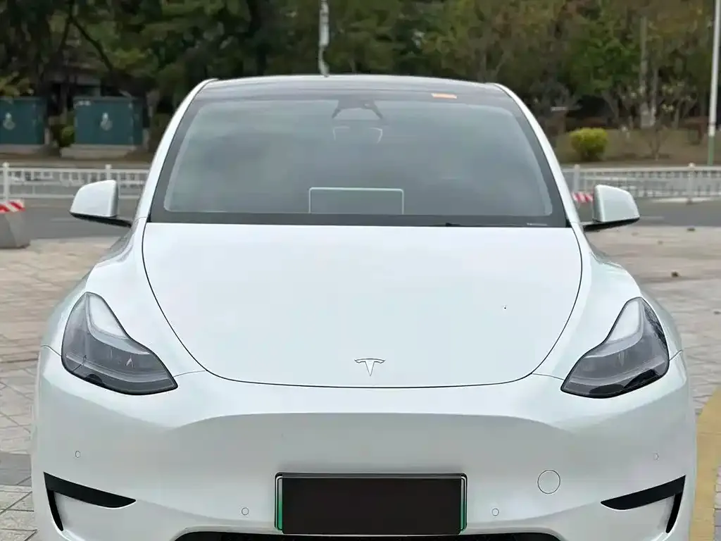 Tesla Model Y — фото 2