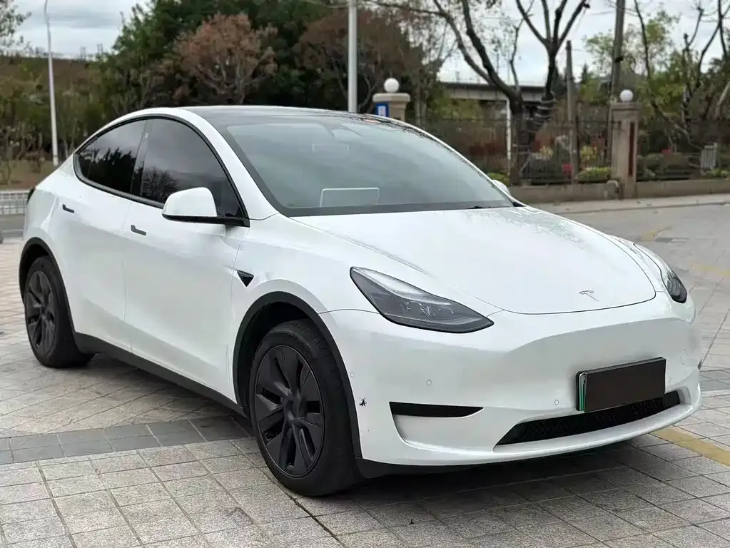 Tesla Model Y — фото 3