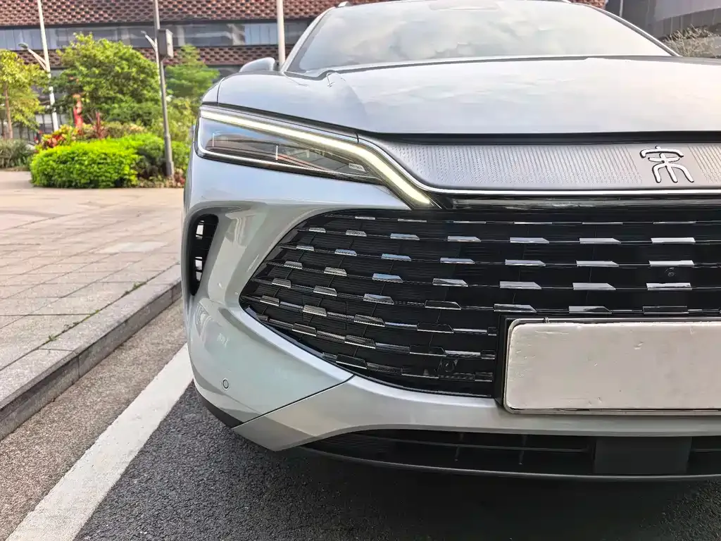 BYD L DM-i 2024 из CN, фото 2