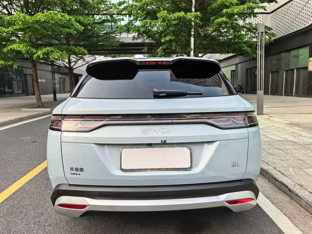 BYD L DM-i 2024 из CN, фото 9