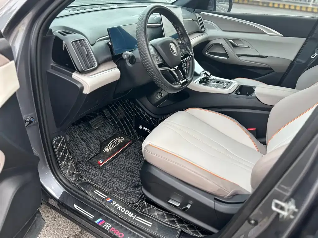 BYD Pro New Energy 2024 из CN, фото 5