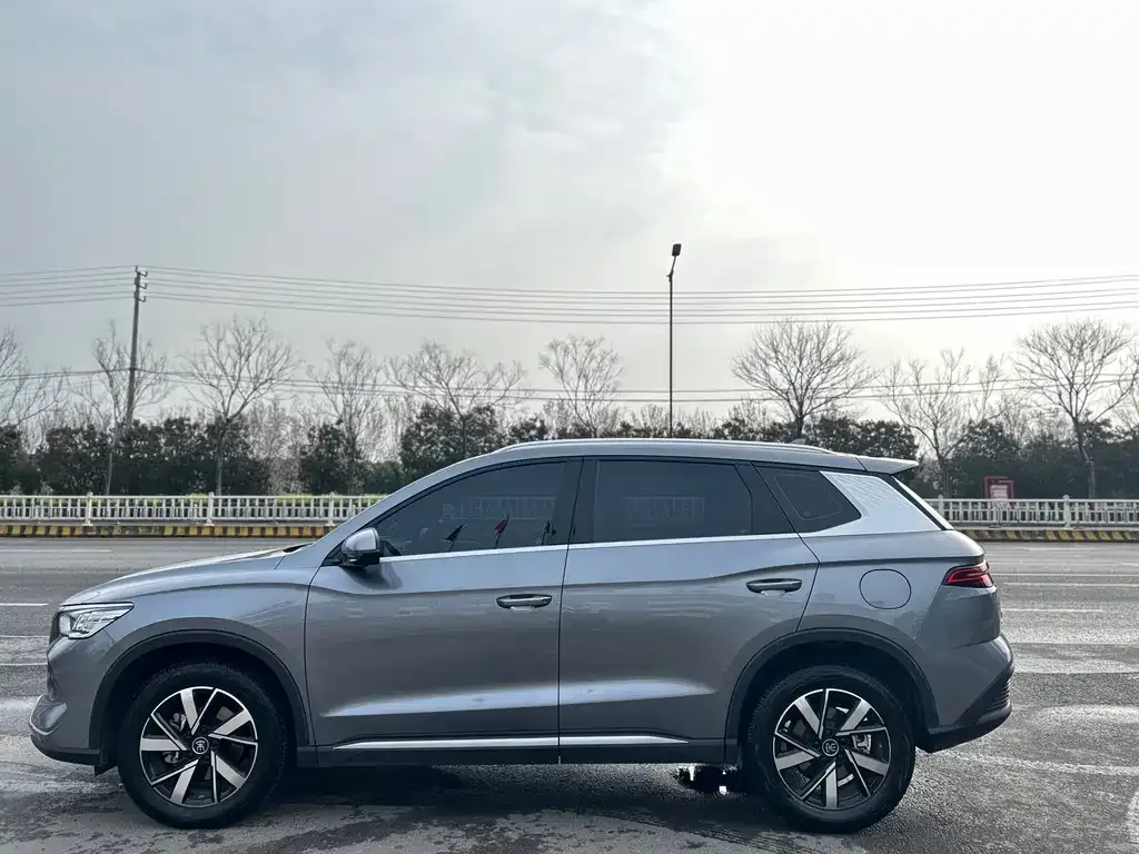 BYD Pro New Energy 2024 из CN, фото 6
