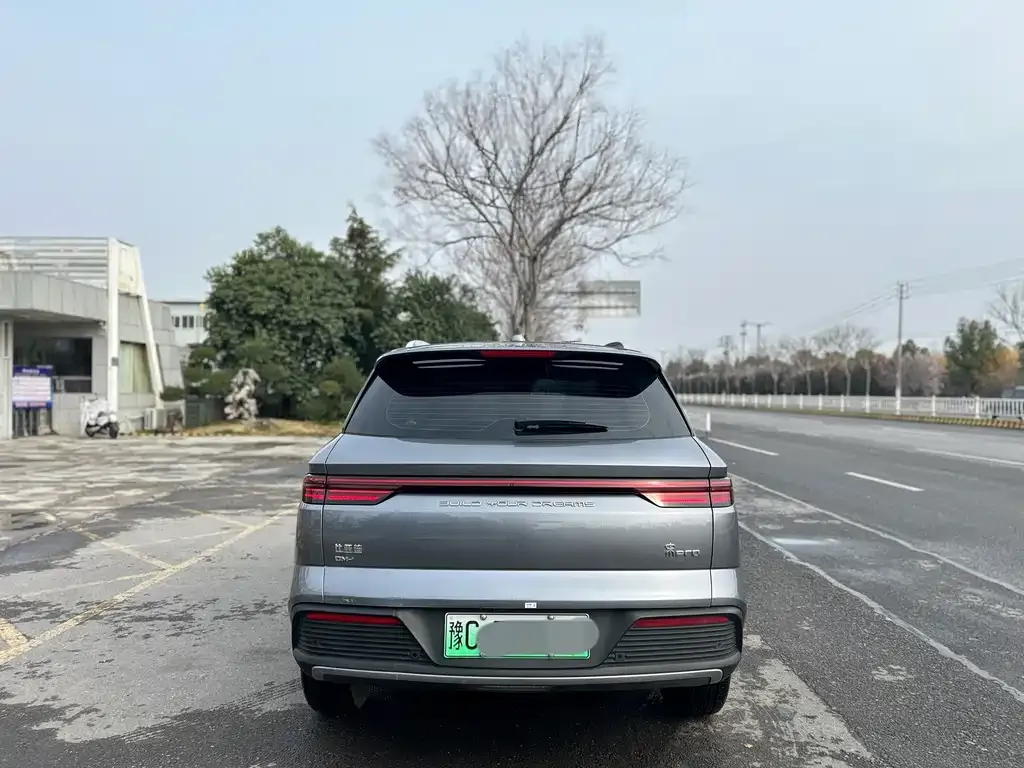 BYD Pro New Energy 2024 из CN, фото 2
