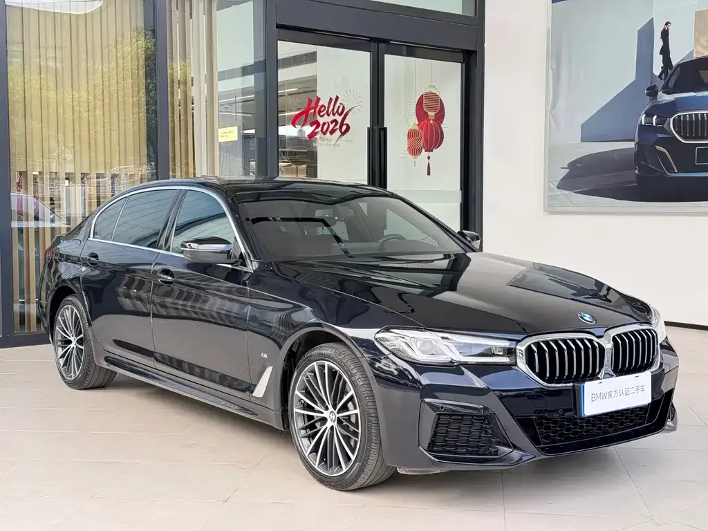 BMW 5 Series 2023 из CN, фото 4