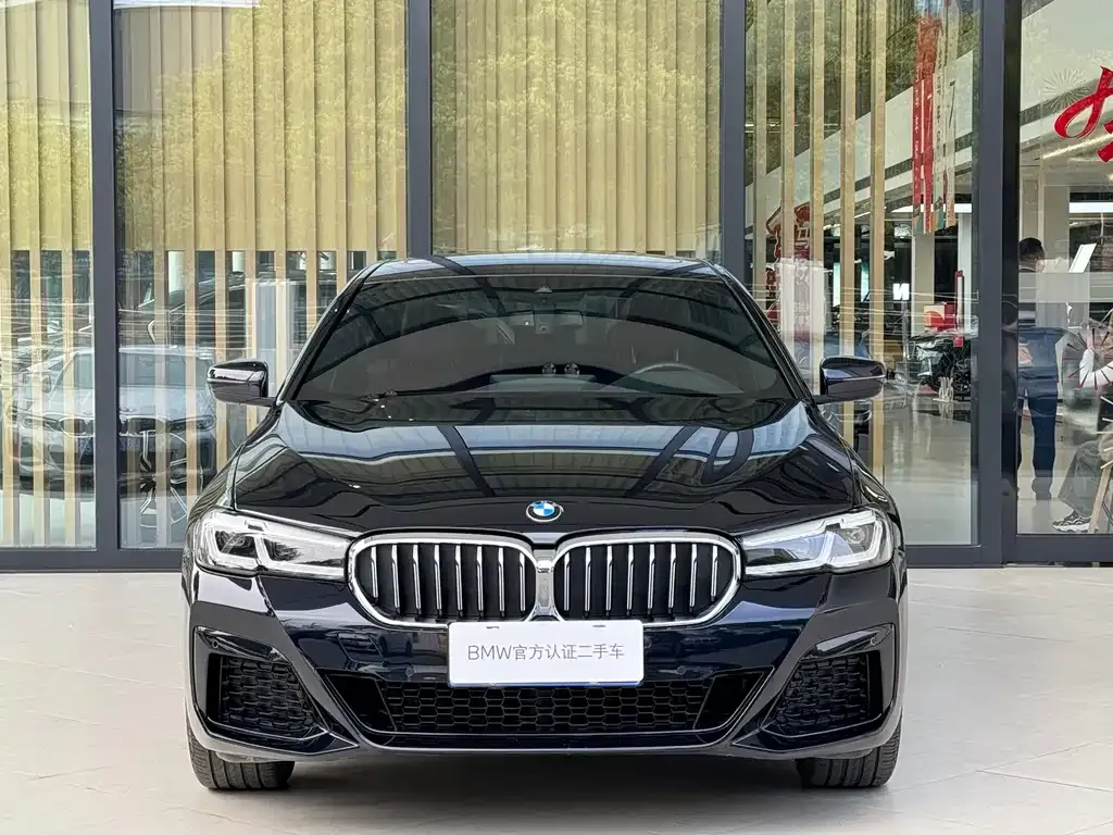 BMW 5 Series 2023 из CN, фото 10