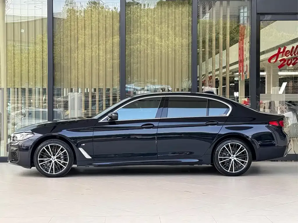 BMW 5 Series 2023 из CN, фото 8