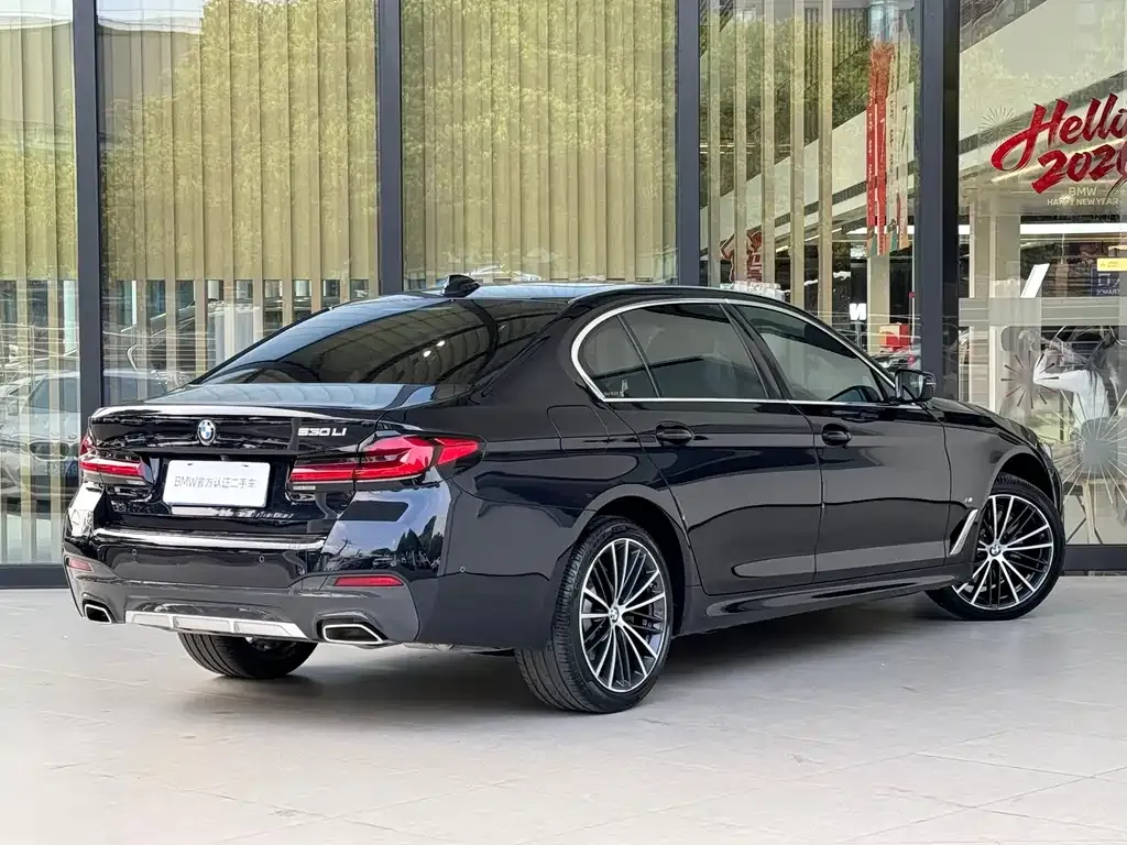 BMW 5 Series 2023 из CN, фото 6