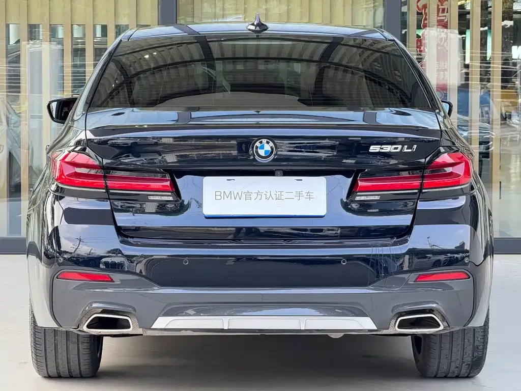 BMW 5 Series 2023 из CN, фото 7