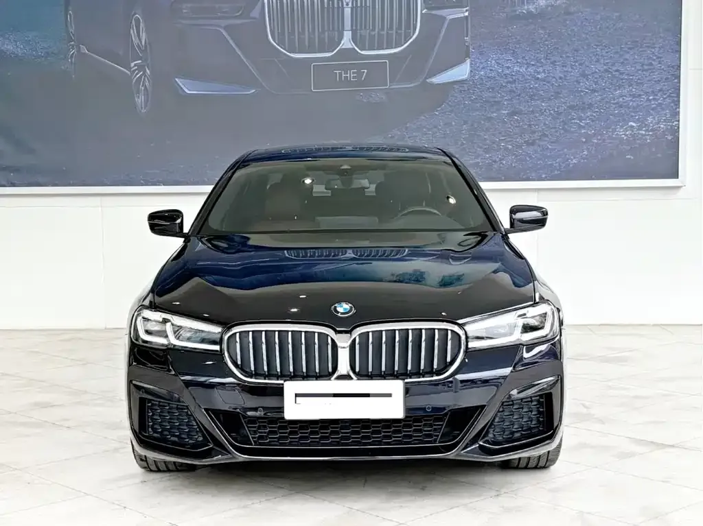 BMW 5 Series 2023 из CN, фото 3