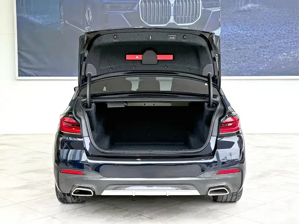 BMW 5 Series 2023 из CN, фото 6