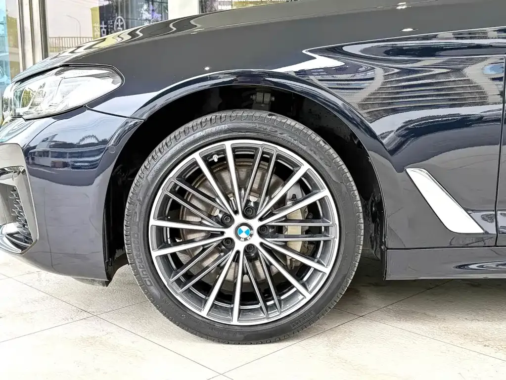 BMW 5 Series 2023 из CN, фото 5
