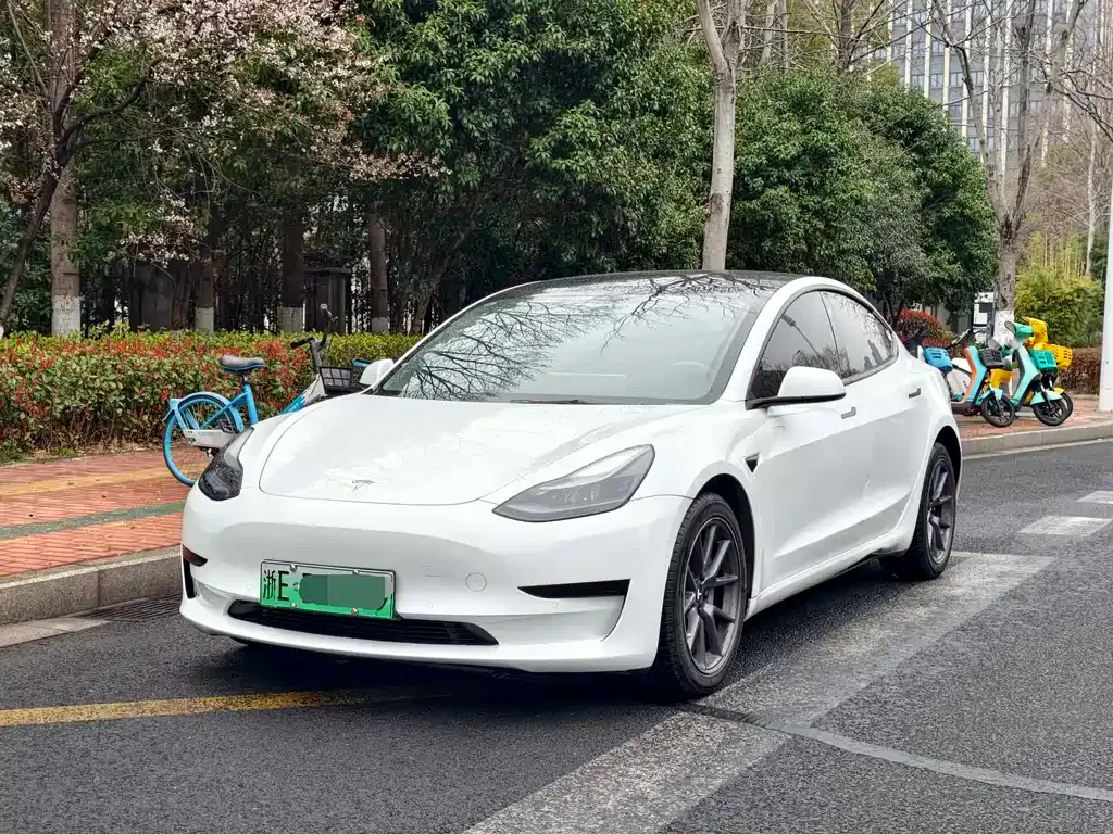 Tesla Model 3 2021 из CN, фото 1