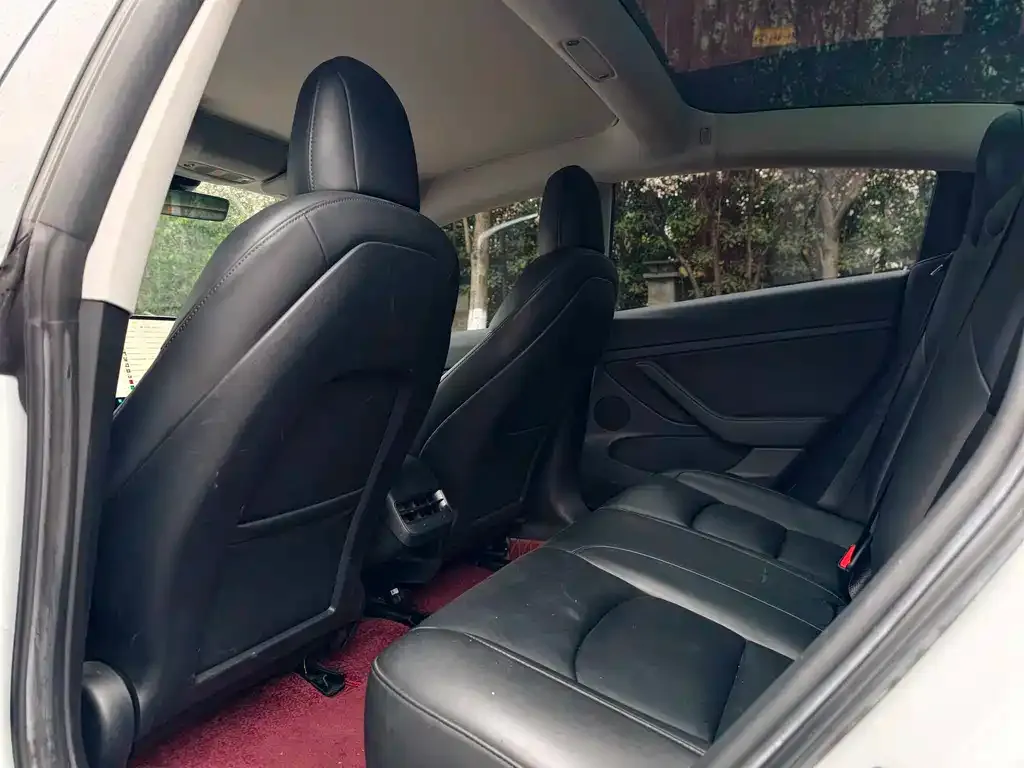 Tesla Model 3 2021 из CN, фото 2