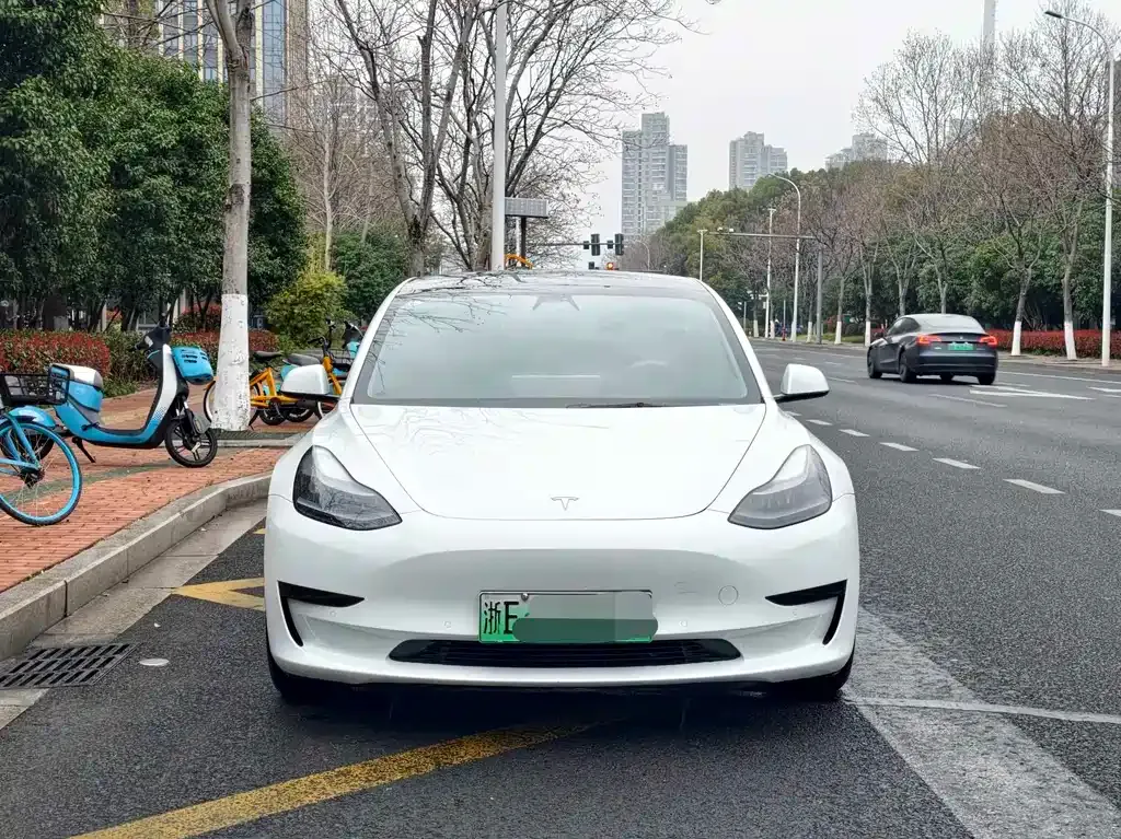Tesla Model 3 2021 из CN, фото 10