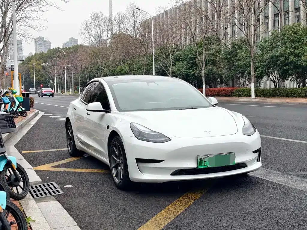 Tesla Model 3 2021 из CN, фото 7
