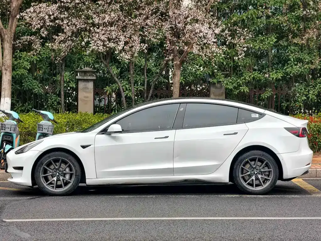 Tesla Model 3 2021 из CN, фото 3