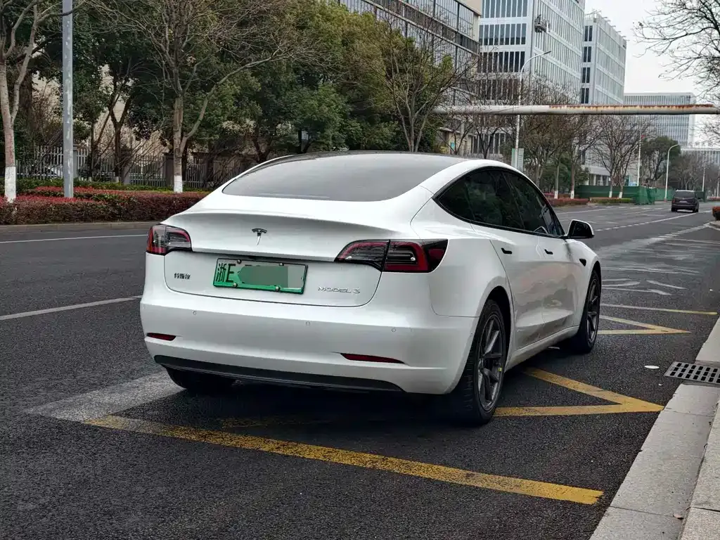 Tesla Model 3 2021 из CN, фото 5