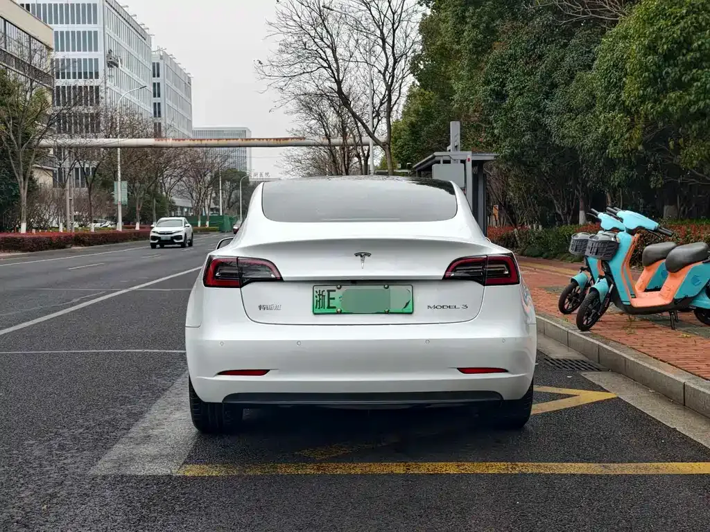 Tesla Model 3 2021 из CN, фото 8