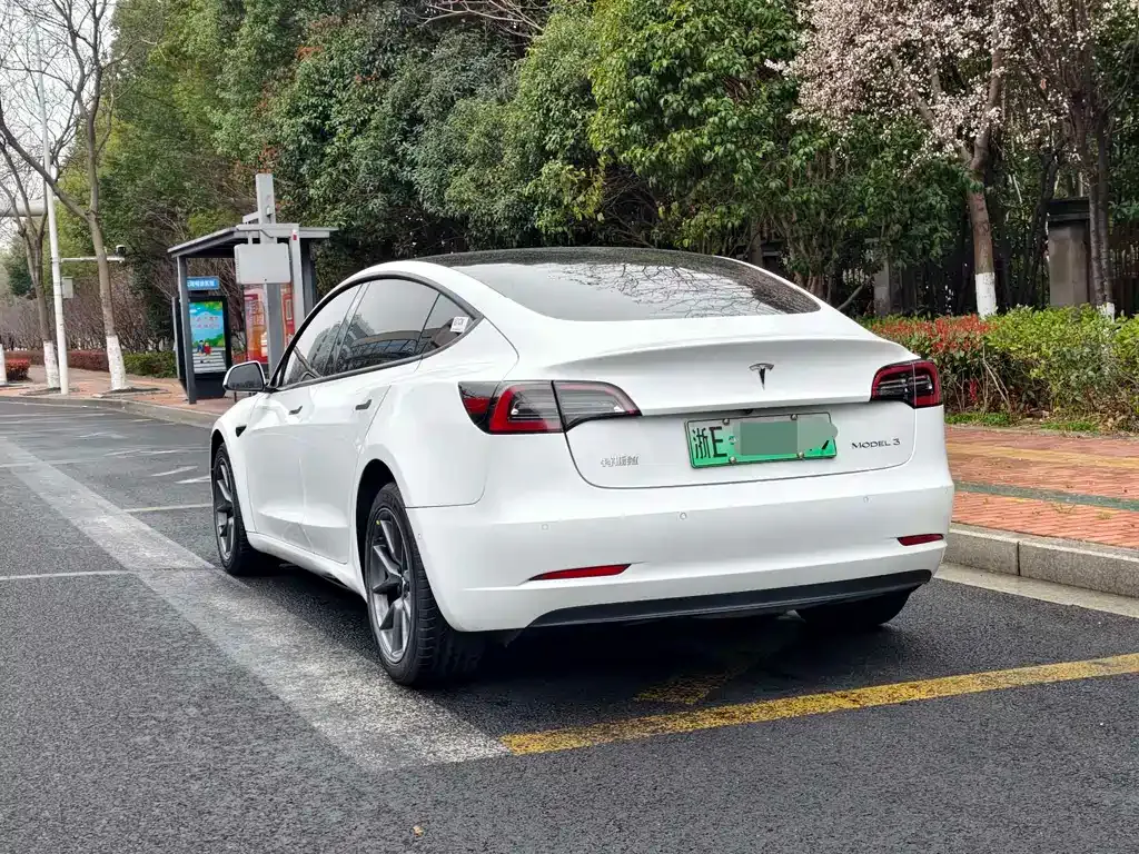 Tesla Model 3 2021 из CN, фото 6