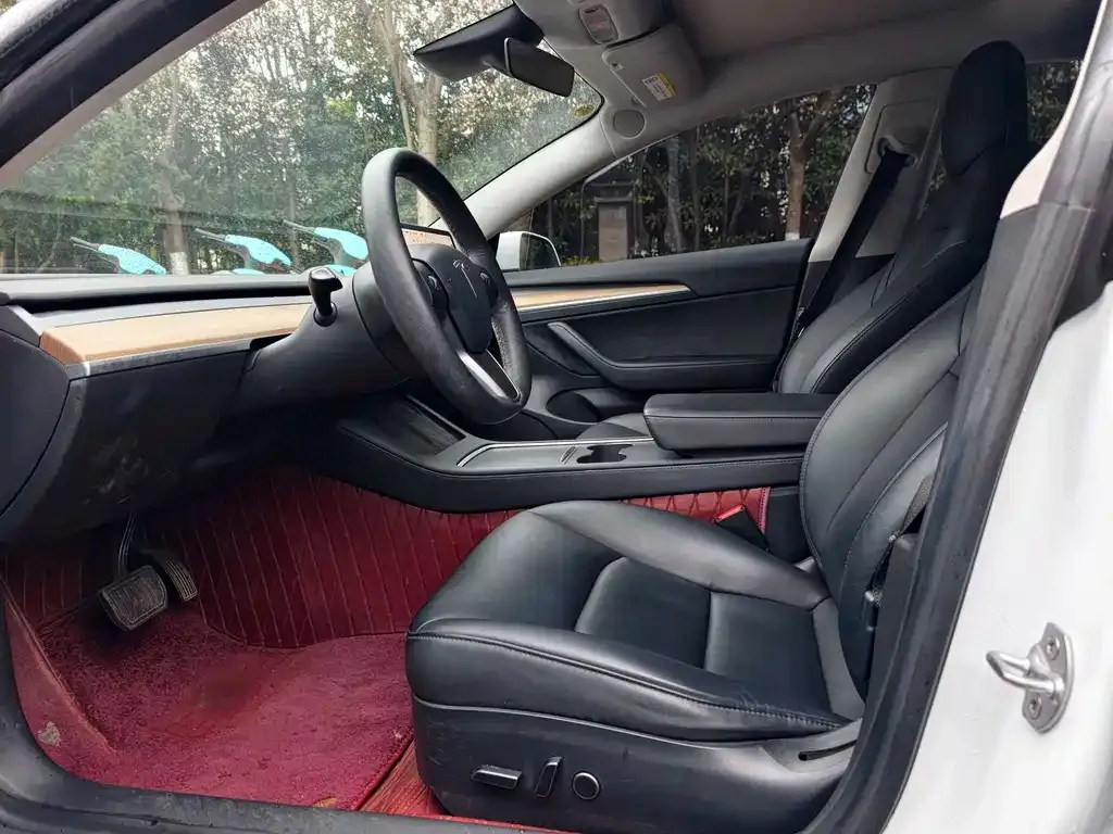Tesla Model 3 2021 из CN, фото 9