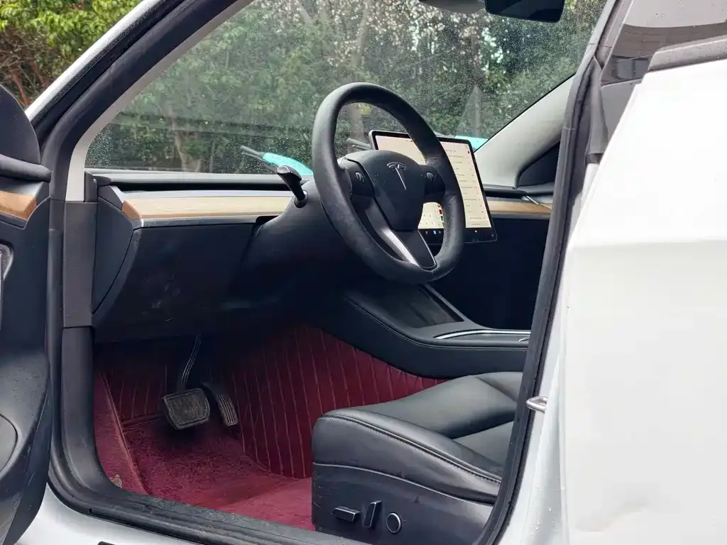 Tesla Model 3 2021 из CN, фото 4