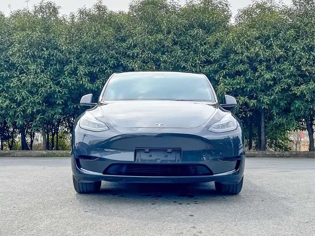 Tesla Model Y — фото 9