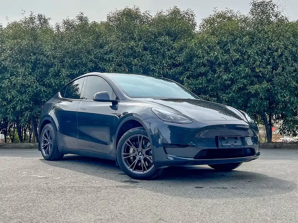Tesla Model Y — фото 2