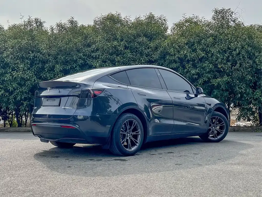 Tesla Model Y — фото 7
