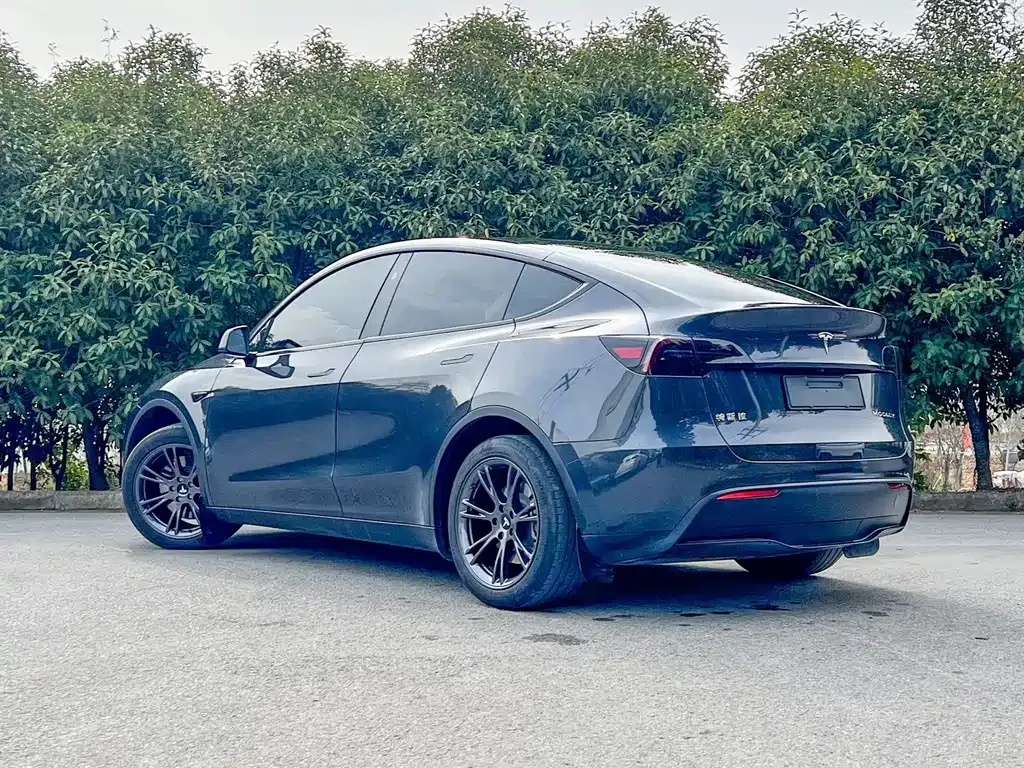 Tesla Model Y — фото 10