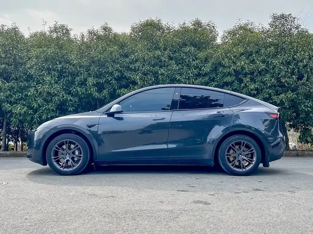 Tesla Model Y — фото 8