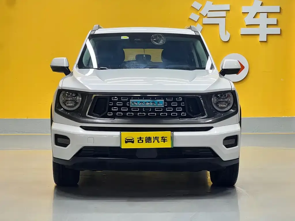 Haval H7 (Big Dog Plus) New Energy 2024 из CN, фото 2