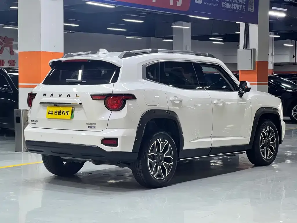 Haval H7 (Big Dog Plus) New Energy 2024 из CN, фото 6